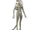 Alien Series 7: 1979 Concept Alien