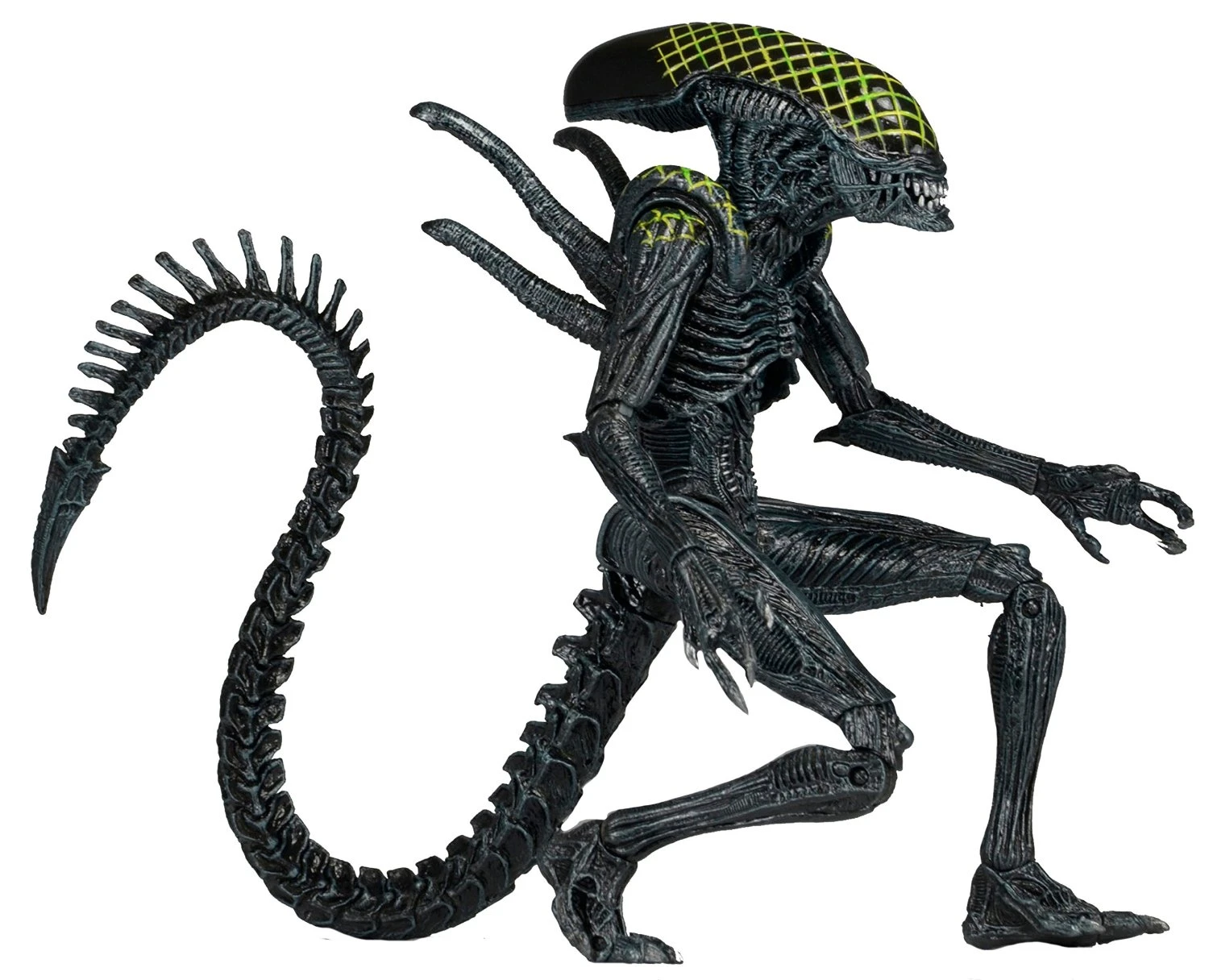 Alien Series 7: Grid Alien 1 Alien Series 7: Grid Alien