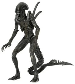 Alien Series 7: Warrior Alien