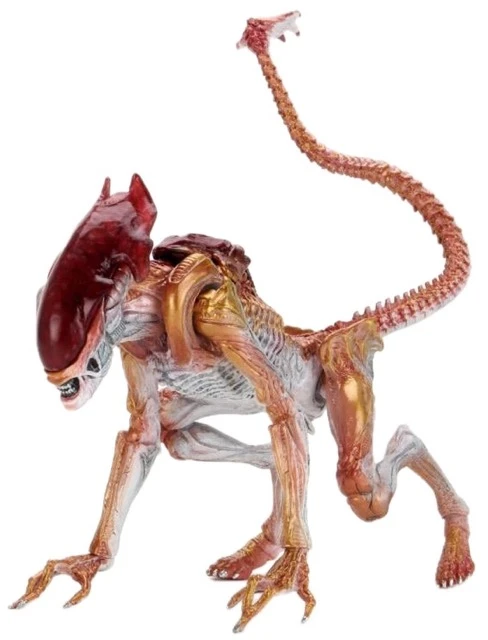 Panther Alien (Kenner Tribute) 1 Panther Alien (Kenner Tribute)