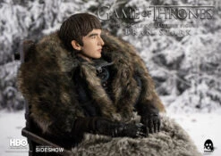 Bran Stark 7 Bran Stark -ToyJoyland product image 1710
