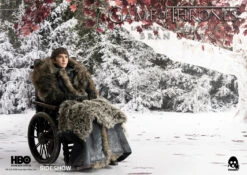 Bran Stark 8 Bran Stark -ToyJoyland product image 1711