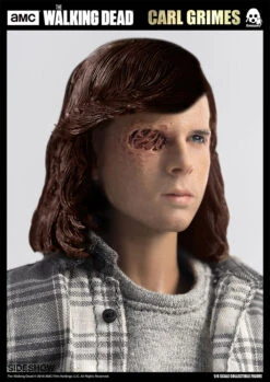 Carl Grimes -ToyJoyland product image 2850